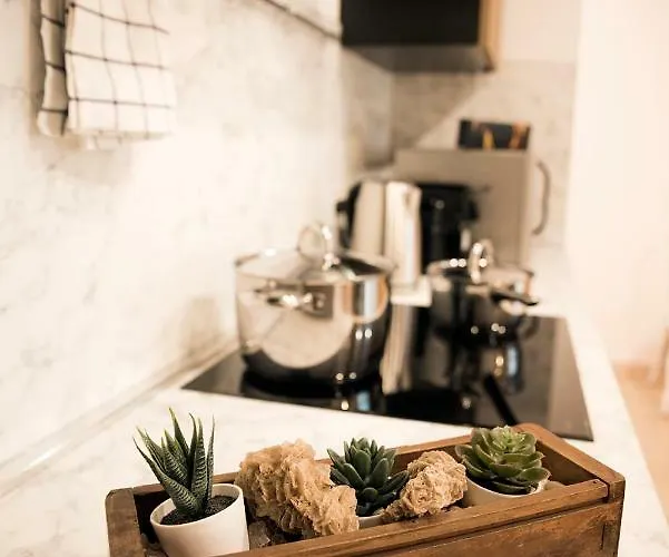 Saffi 15 * 볼로냐